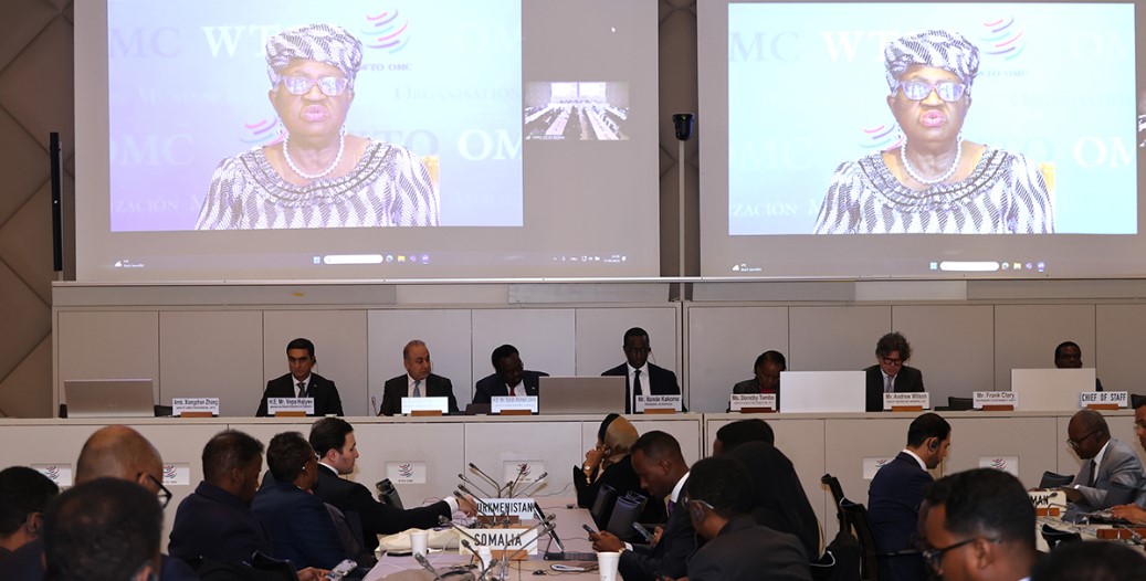 DTÖ / Okonjo-Iweala: Çatışmalara karşı en etkili yol “Barış için Ticaret Programı”dır