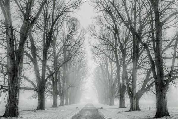 Ağrı’da eğitim öğretime 1 gün ara