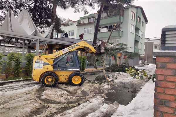 Ordu’da güvenlik riski oluşturan ağaçların temizlenmesi için harekete geçildi
