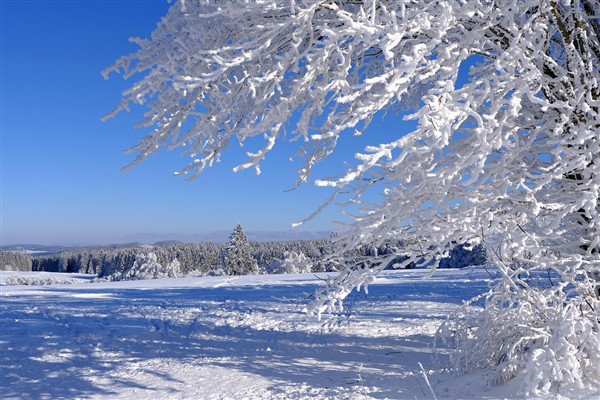 İstanbul’da karla mücadele çalışmaları devam ediyor