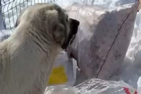 Yoğun kar yağışı sonrası Huzur Çiftliği’ne gıda ve su ulaştırıldı