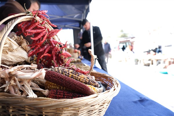 Eskişehir’de üretilen yerel tohumlar, vatandaşlarla buluşmaya devam ediyor