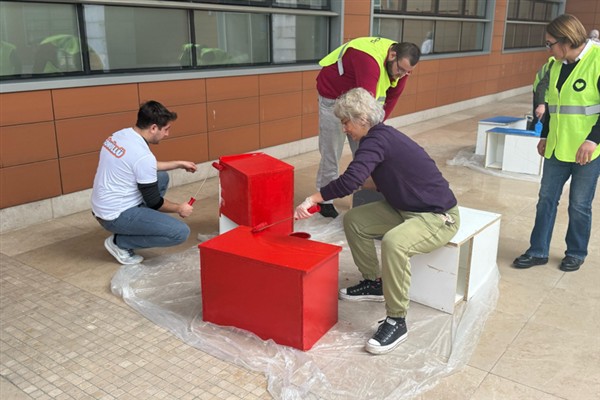 Dünya Kediler Günü’nde hayvanlar yeni yuvalarına kavuştu