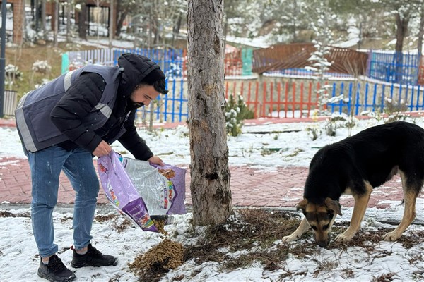 Karabük Belediyesi’nden sokak hayvanlarına mama desteği