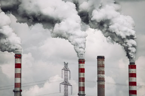 Bagfaş hakkındaki iddialar