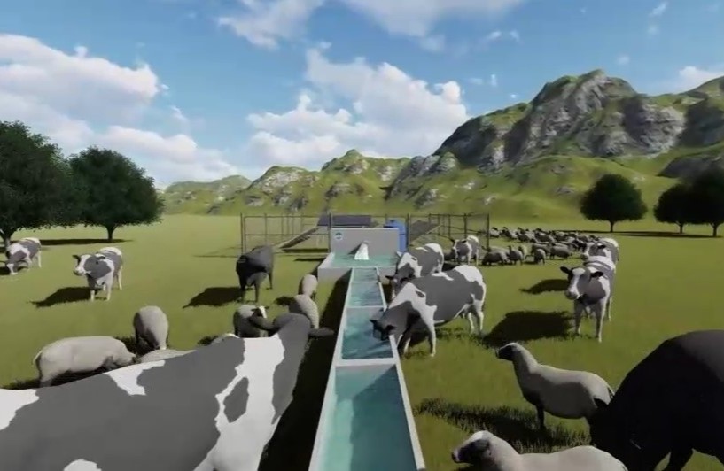 Kayseri Büyükşehir Belediyesi’nden Yeşil Enerji ile Hayvan İçme Suyu Temini Projesi