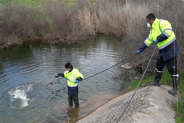 İzmir’de sivrisineklere yönelik mücadele sürüyor