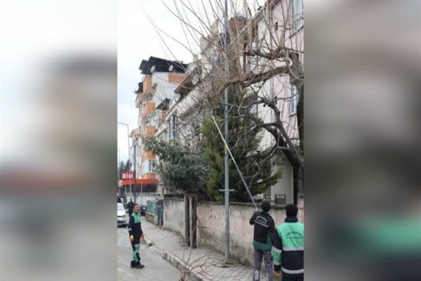 İnegöl Belediyesi, ağaç budama çalışmalarını sürdürüyor