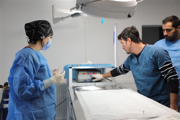 Mudanya’da sahipsiz hayvanların sağlığına yönelik çalışmalar yürütülüyor