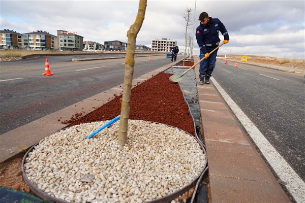 Eskişehir’de kuru peyzaj düzenlemeleriyle 13 bin 996 ton su tasarrufu sağlandı