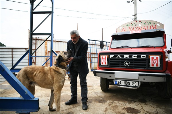Çayırova’da sokak hayvanlarına sıcak yuvalar bulunuyor