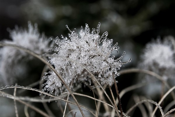 Belediyeden su sayaçları için don uyarısı