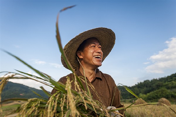 1 Numaralı Merkezi Belge açıklandı, Çin’in önceliği tarım