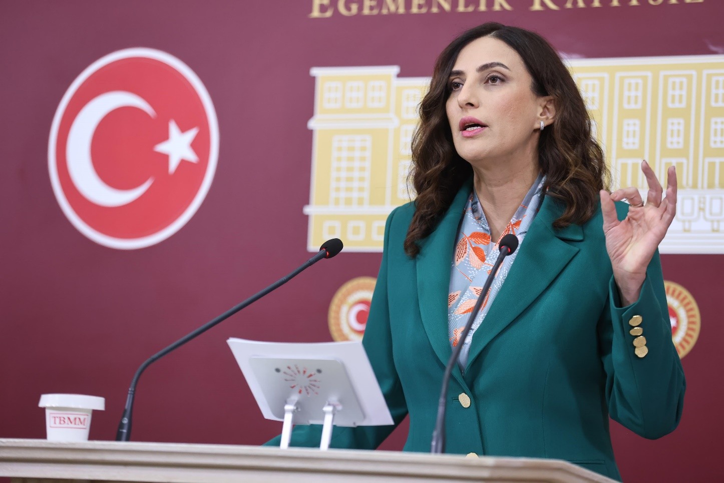 Rızvanoğlu’ndan Doğal Felaketlerle Mücadele Kuvvetleri kurulmasını öngören kanun teklifi