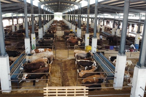 Başkan Taban’dan üreticilere kontra ihalesine davet