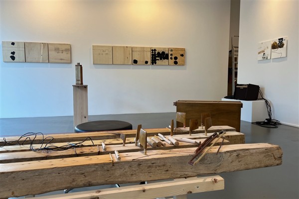 Düzce’de “Yeryüzünün Sesi” sergisi açıldı