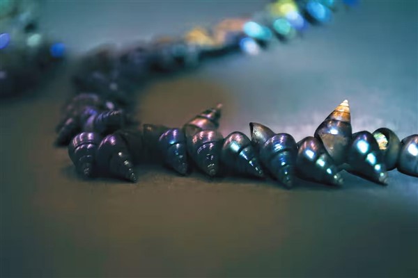 Aborijin adamın kalıntıları İngiltere’de 170 yıl geçirdikten sonra Tasmanya’ya geri döndü