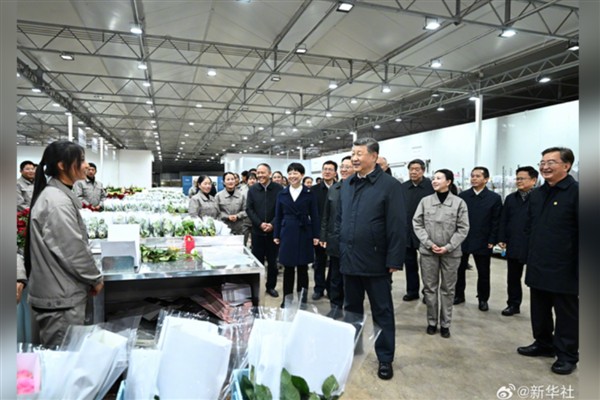 Xi, Lijiang’da incelemelerde bulundu