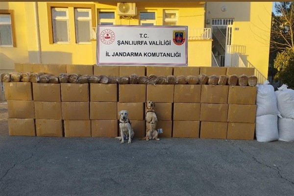 Şanlıurfa’da 10 kilo 785 gram kıyılmış kaçak tütün ele geçirildi