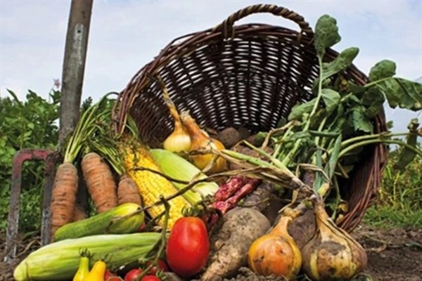 Bursa’da Girişimci Kadın Kooperatifi kuruldu