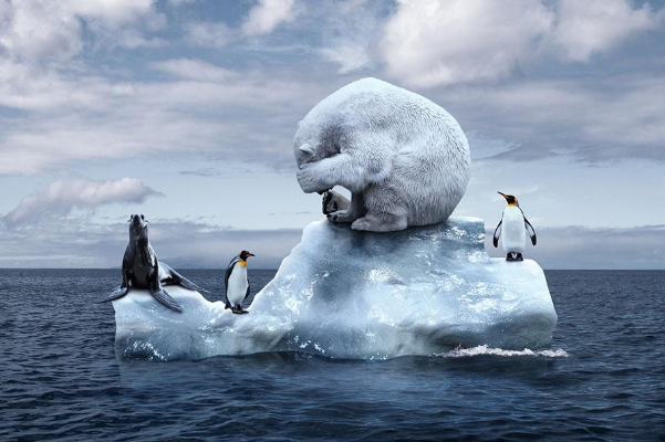 BM: Buzul erimesi 2 milyar insanın yiyecek ve su tedarikini riske atıyor