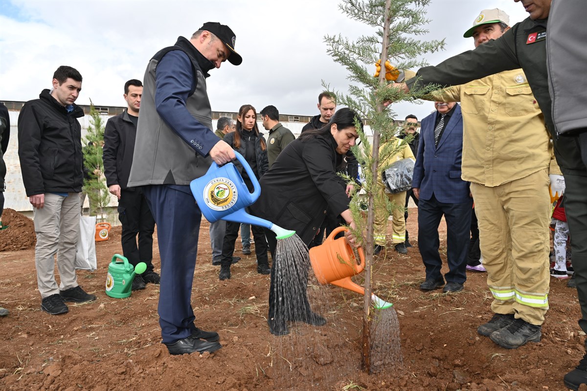Dünya Ormancılık Günü ve Ormancılık Haftasında Batman’da fidanlar toprakla buluşturuldu