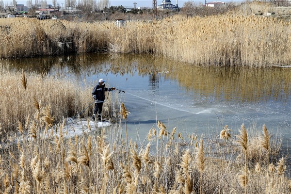 Van Büyükşehir Belediyesi vektörle mücadele için çalışma başlattı