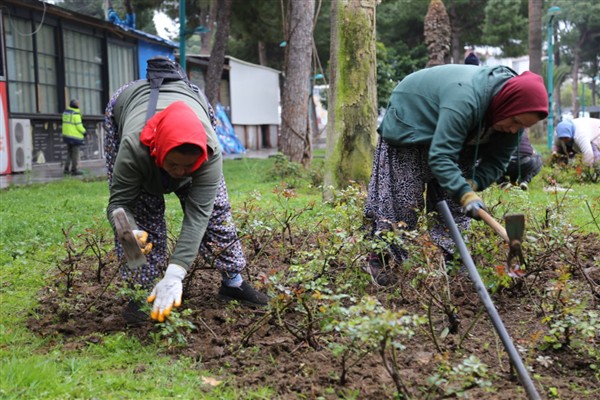 Edremit’te park, bahçe ve yeşil alanlarda bakım ve düzenleme çalışmaları sürdürülüyor