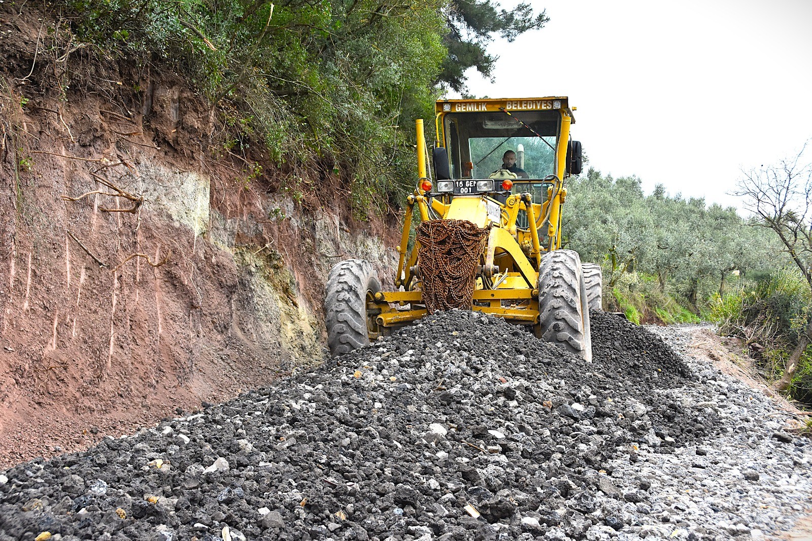 Gemlik Belediyesi’nden “Patili Canlar Rehabilitasyon Merkezi” projesi