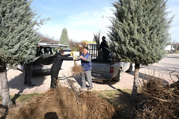 Konya’da fide ve fidan dağıtımı gerçekleştirildi