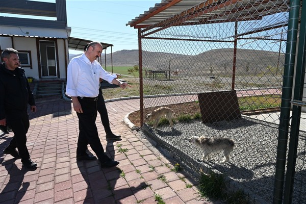 Vali Canalp, Batman Belediyesi Hayvan Bakım Merkezi’nde inceleme yaptı