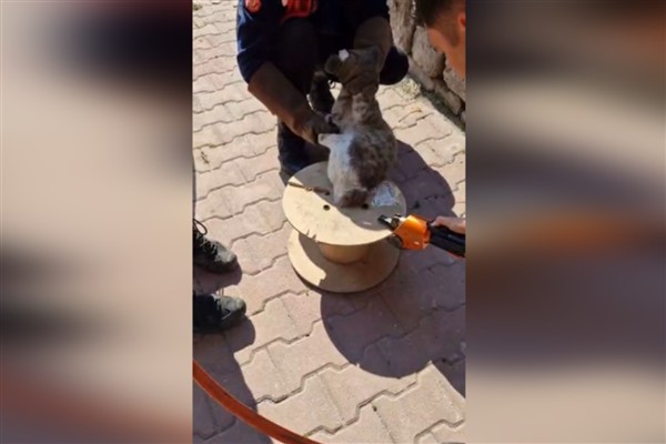 Kayseri İtfaiyesi, ahşap makaraya sıkışan kediyi kurtardı