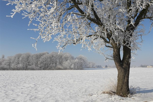 Meteoroloji’den çığ tehlikesi ile buzlanma ve don uyarısı