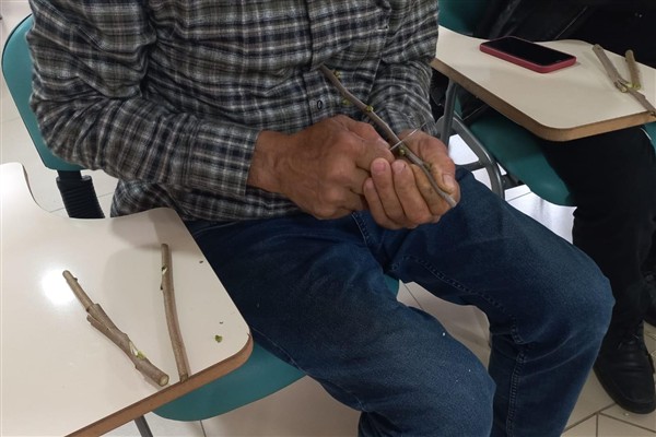 Ordu Büyükşehir Belediyesi’nden “Meyve Ağaçlarında Aşılama” kursu