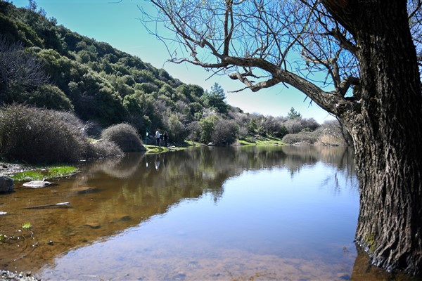 Bornıva Belediyesi ile ege Üniversite iş birliğiyle biyoçeşitlilik envanteri