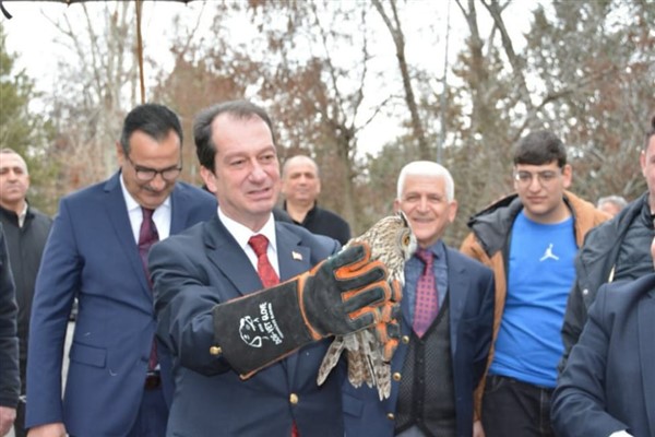 Dicle Üniversitesi’nde tedavi edilen yaban hayvanları doğaya salındı