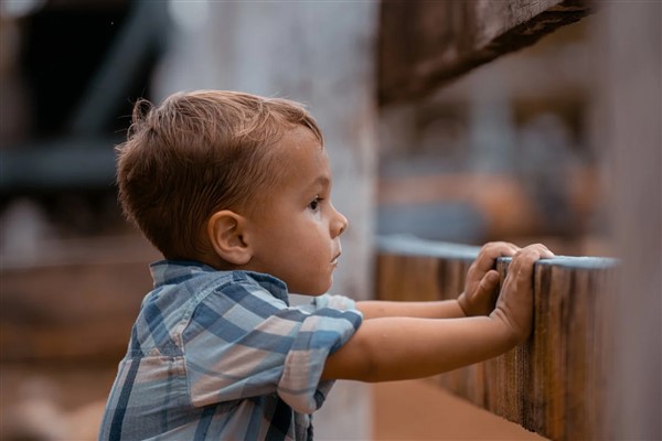 TÜİK – Çocukların yüzde 94,5’inin genel sağlık durumu “iyi veya çok iyi” durumda