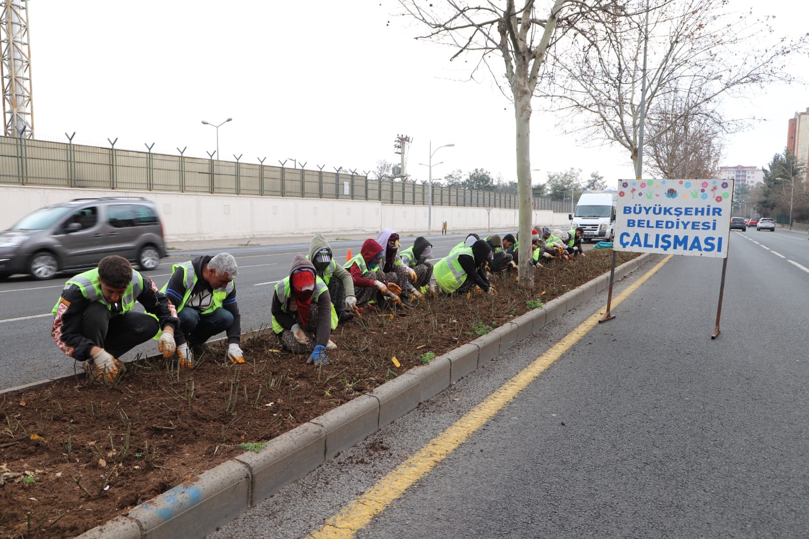 Diyarbakır Büyükşehir Belediyesi ekipleri, kente 46 bin gül fidesi dikecek