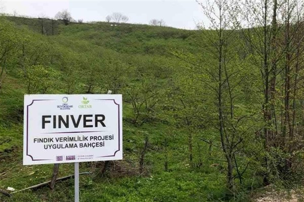 FINVER Projesi’ne olan ilgi Ordu sınırlarını aştı