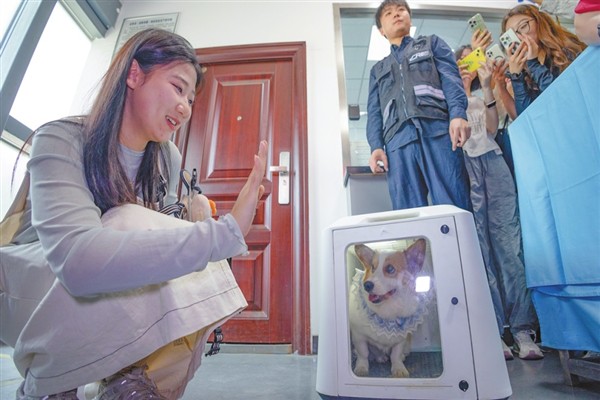 Çin’de kamu hizmetleri giderek daha fazla evcil hayvan dostu hale geliyor