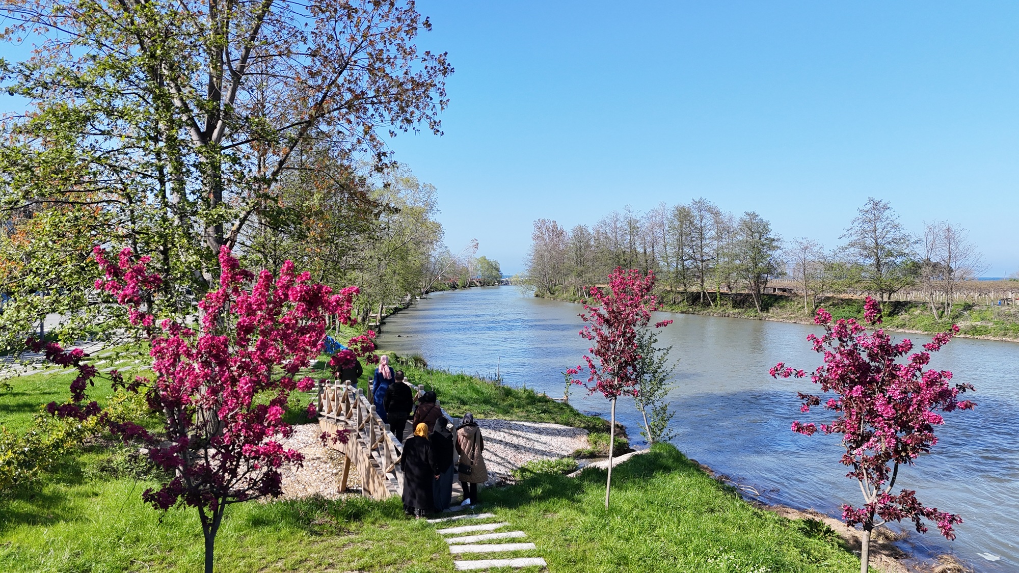 Ordu’da parklar ile yeşil alanlara çeşitli ağaç ve süs bitkileri ekildi