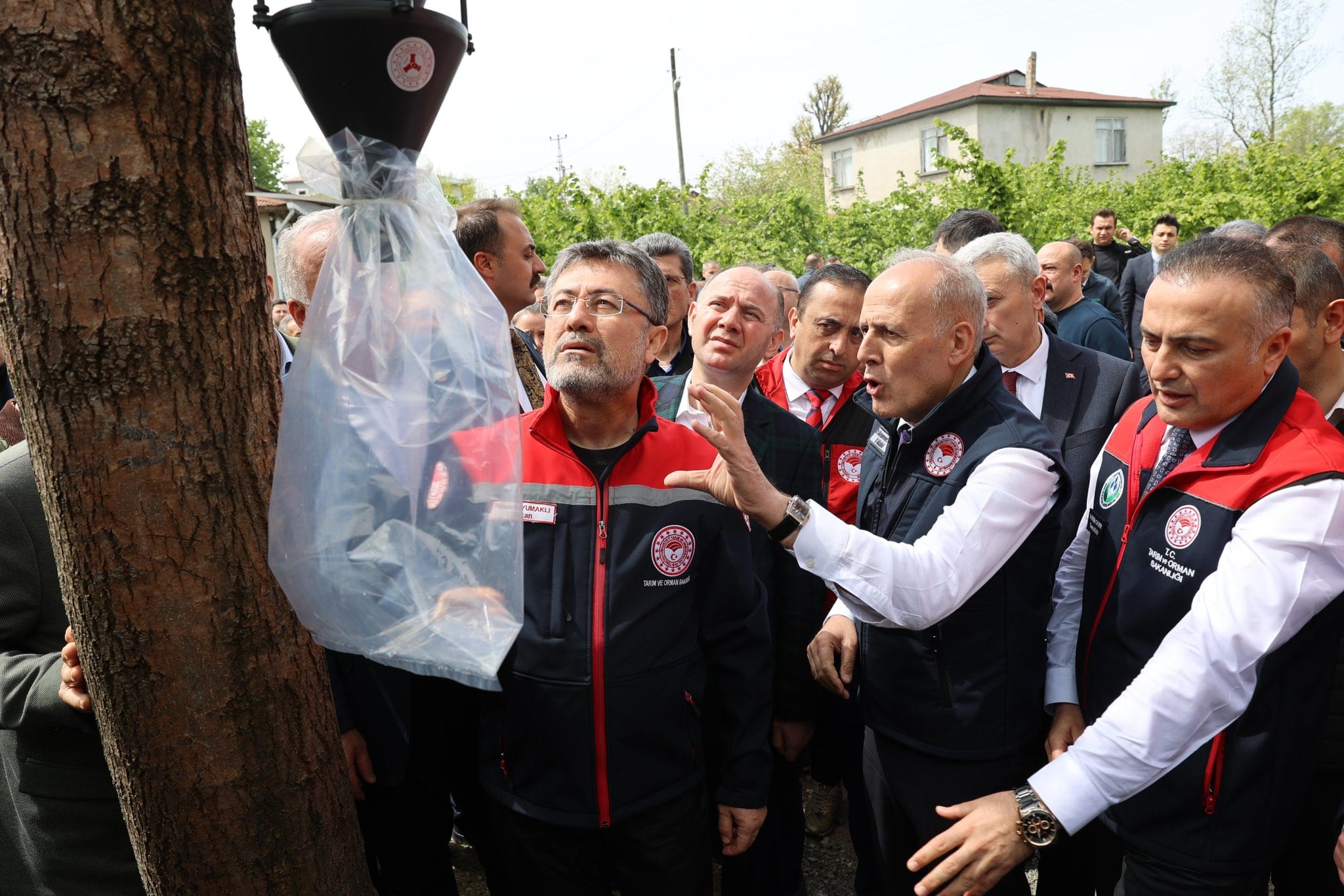 Bakan Yumaklı’dan Giresun’da tarımsal afet ve zararlılara yönelik yerinde inceleme