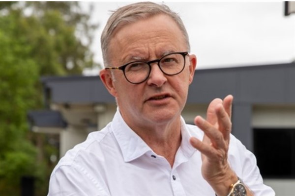 Albanese: Her vergi mükellefine yeni bir destek daha geliyor