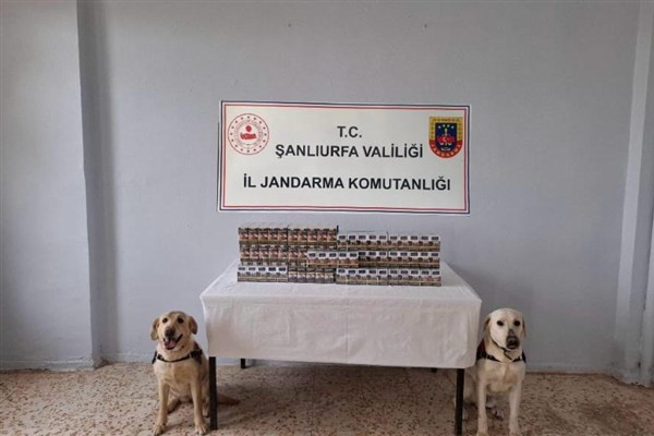 Şanlıurfa’da kaçak sigara operasyonu