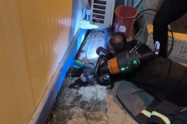 Konteyner altına sıkışan yavru kedi itfaiye ekiplerince kurtarıldı