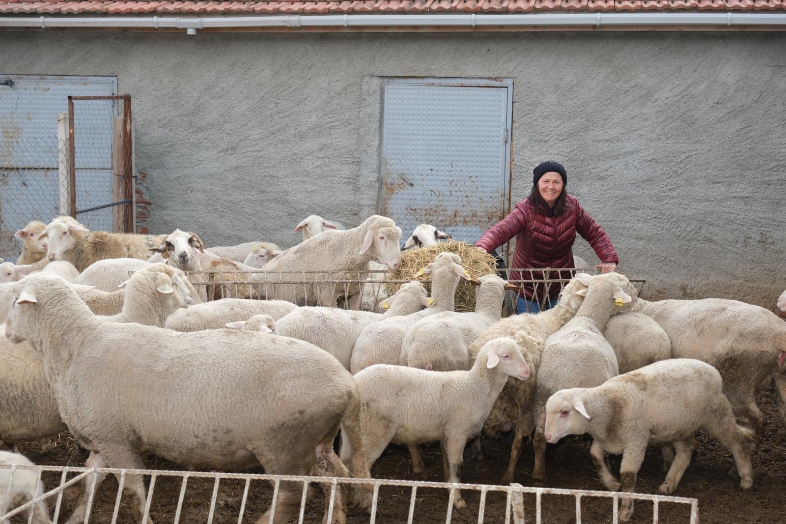 Eskişehir’de küçükbaş hayvan desteği 2 bin 200’e ulaştı