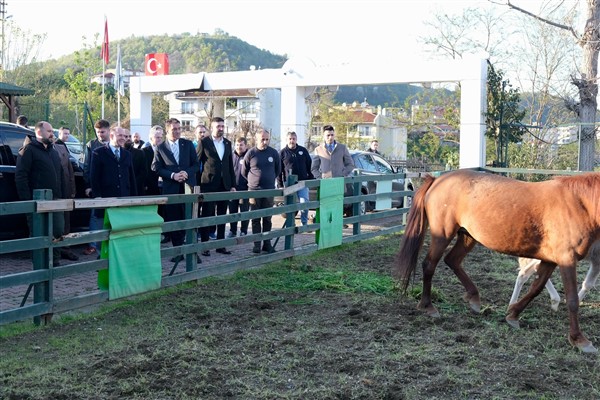 Başkan Köse ile Vali Serdengeçti hayvan barınağını ziyaret etti