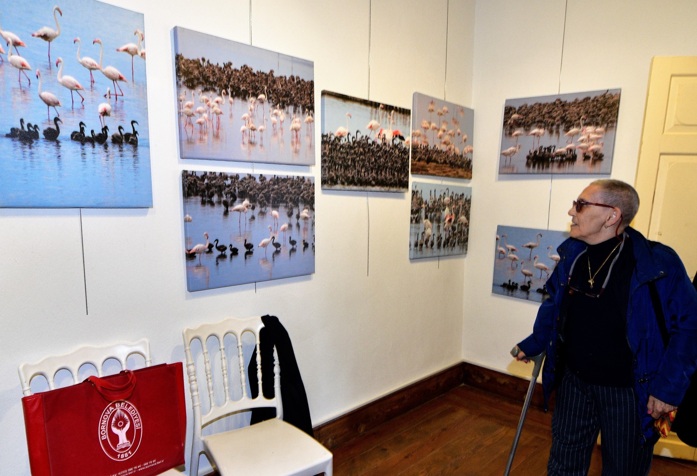 Esat Erçetingöz’ün objektifinden “Flamingo Adası” sergisi