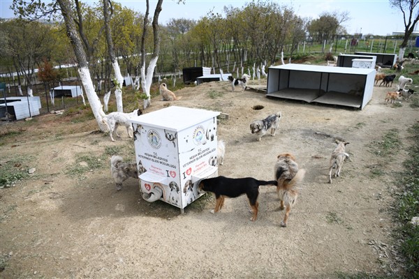 Keşan’da sokak hayvanları için 11 milyon liralık doğal yaşam alanı yatırımı