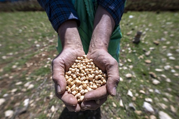 Mersin’de kırsalda yaşayan üreticiler için projeler hayata geçiriliyor